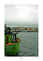 Picture Title - The Port of Dingle