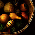 Picture Title - Gourds