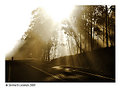 Picture Title - Australian bikers