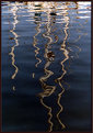 Picture Title - Masterful Reflection