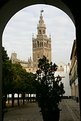 Picture Title - Seville,Giralda