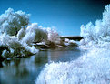 Picture Title - Elk River Channel #2 (IR)