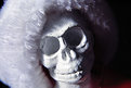 Picture Title - Skull with Santa Hat