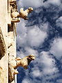 Picture Title - Gargoyles