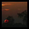 Picture Title - (red sun)