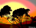 Picture Title - Palos Verdes Sunset