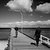 Chance meeting - Altona Pier