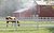 Tobacco Barn