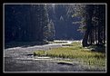 Picture Title - Pond with Morning Fog - II