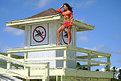 Picture Title - LifeGuard?