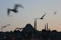 Picture Title - SEAGULLS  AND MINARETS