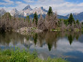 Picture Title - Beaver Hut