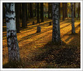 Picture Title - Autumn in the cemetary