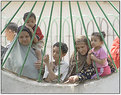 Picture Title - untitled-Cairo images