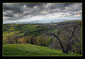 Picture Title - Tuscany 5