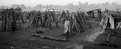 Picture Title - The wood market
