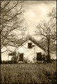 Picture Title -   Someone's Old Homeplace: Danielsville, Ga.