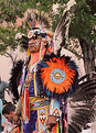 Picture Title - Native