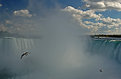 Picture Title - Niagara