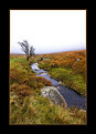Picture Title - Wicklow Gap