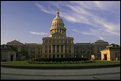 Picture Title - Texas Beauty