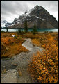 Picture Title - Bow Lake and Creek