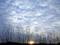 Picture Title - Sunset/Yellow River Valley at Ion