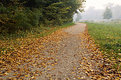 Picture Title - autumn walk