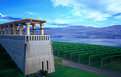 Picture Title - Mission Hill Vineyards