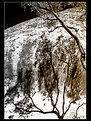Picture Title - tree shadows on rock