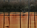 Picture Title - Heron at Sunset