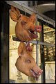 Picture Title - Pig Heads