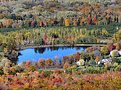 Picture Title - The Lake in Autumn