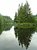 LYNN CANYON RICE LAKE REFLECTION