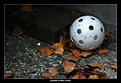 Picture Title - The Ball