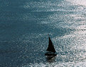 Picture Title - Sailing 