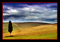 Picture Title - Tuscany 1