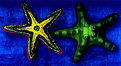 Picture Title - Starfish