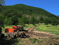 Picture Title - The Red Tractor