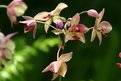 Picture Title - floral arrangement