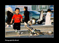 Picture Title - Catch Them