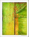 Picture Title - Green Patina