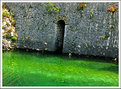 Picture Title - passage
