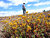 My Brother in the Pumice Desert