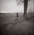 Picture Title - Dog in Pinhole