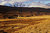 Abandoned Bothy