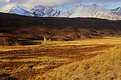 Picture Title - Abandoned Bothy