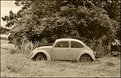 Picture Title - 1973 VW Rusting away