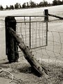 Picture Title - Farm Gate