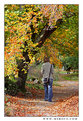 Picture Title - Magic autumn